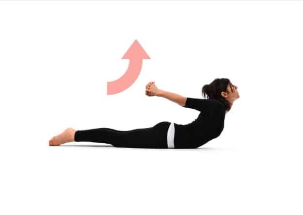 The best Hatha Yoga asanas for beginners