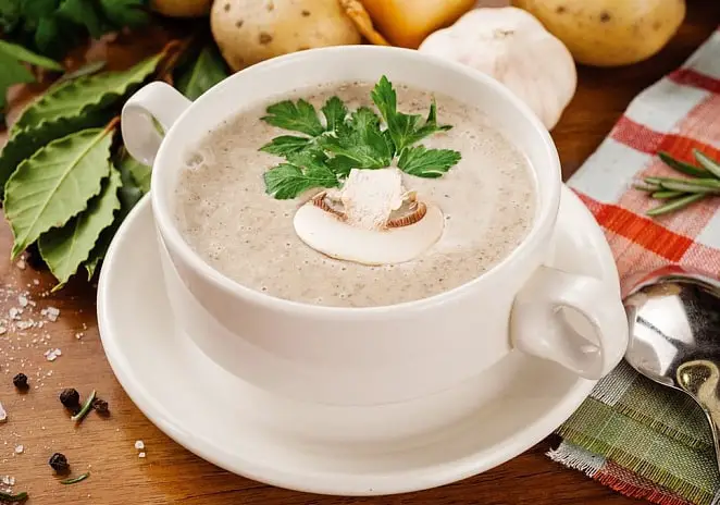 Creamy mushroom cream soup