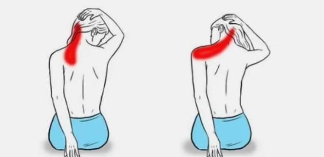 Stretching the side muscles of the neck and shoulders