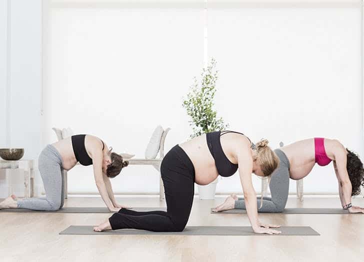 Cat pose for pregnant women