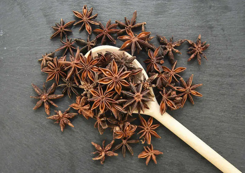 Star Anise aids digestion