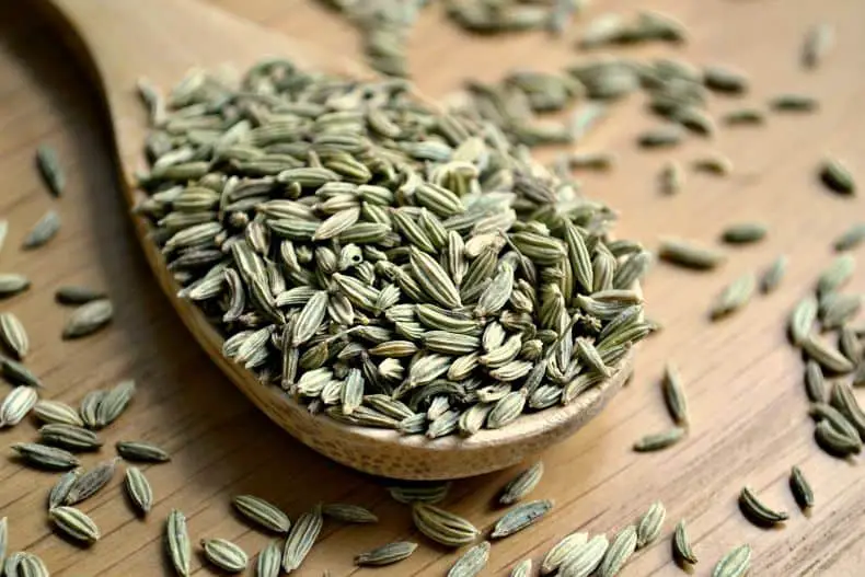  Fennel Seed soothes your intestines
