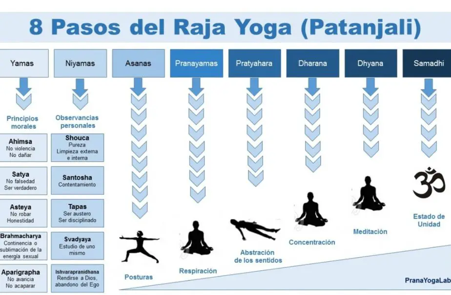 8 Limbs of Yoga Chart [infographic]