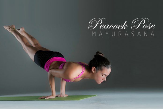 Mayurasana (Peacock Pose) Meaning, Steps, Benefits