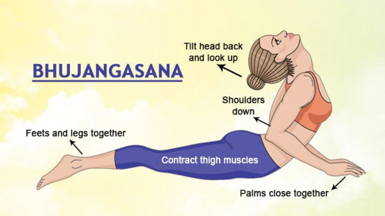 Bhujangasana