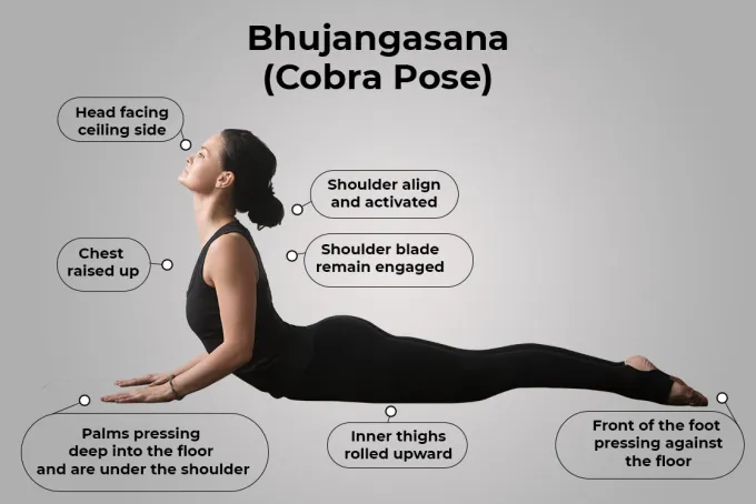 How to Do Bhujangasana (Steps)