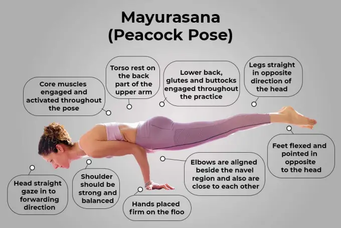 Mayurasana Steps