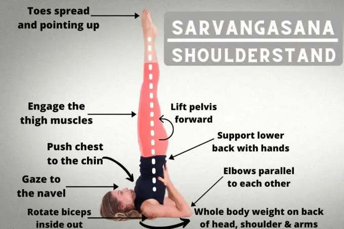 Best Practice Guide Sarvangasana