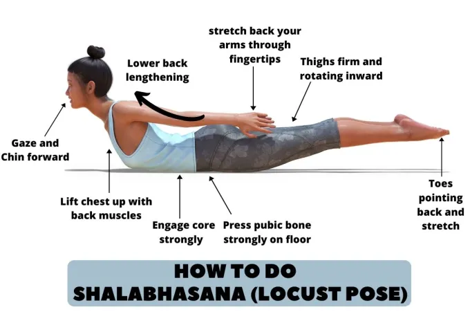 Practice Guide of Shalabhasana