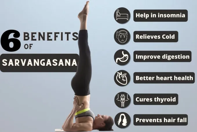 Best Practice Guide Sarvangasana