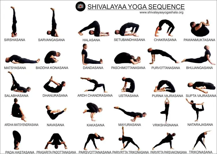Best yoga poses for beginner men