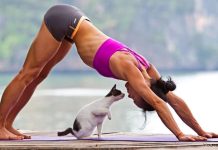 Yoga for Anxiety: 9 Poses to Try