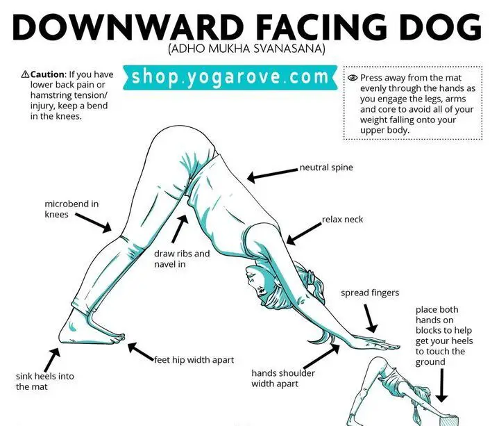 Собака мордой вниз: поза йоги для сильного тела