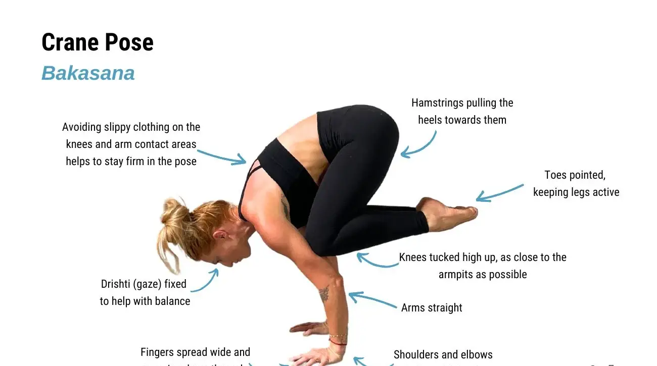 31 Yoga asanas image with a description