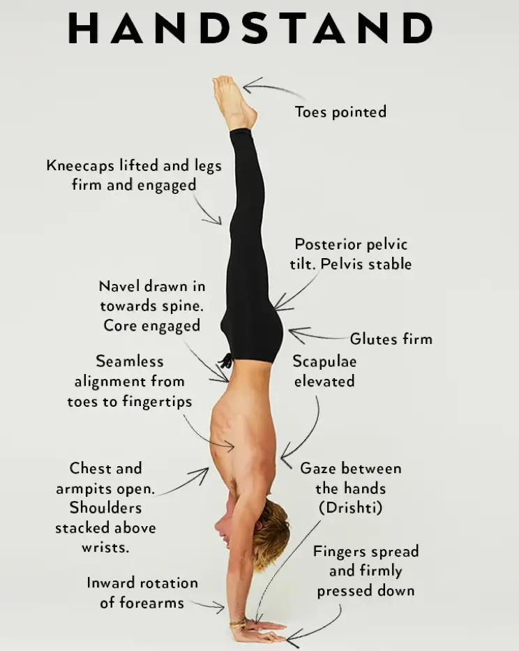 31 асана йоги изображение с описанием